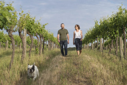 The 2020 vintage is here!
